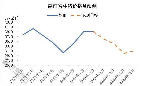 現在養一頭豬賺近2000塊！可2年后豬肉將跌破10元，甚至4-5塊？