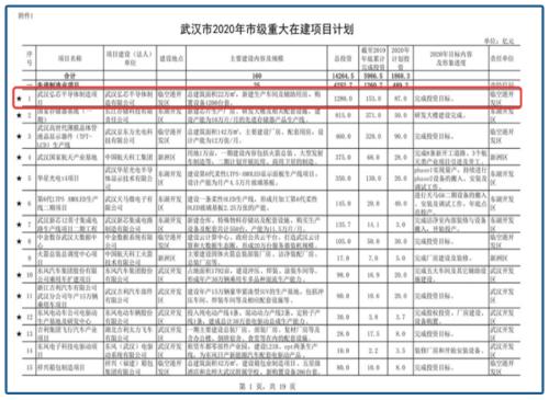 ？民族之光還是驚天巨騙？1280億的大項目來路蹊蹺，前路不清……