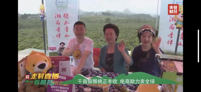 獼猴桃化身“金果果” 央視直播走進十八洞村