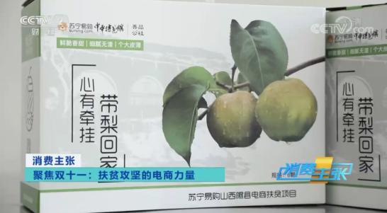 互聯網電商成脫貧快車，央視點贊蘇寧助力玉露香梨產業發展