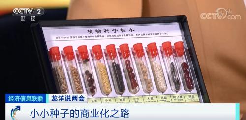 中國(guó)糧，用中國(guó)種！