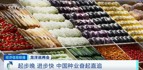 中國(guó)糧，用中國(guó)種！