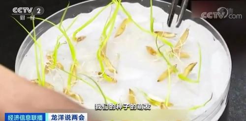 中國(guó)糧，用中國(guó)種！