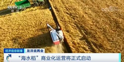 中國(guó)糧，用中國(guó)種！