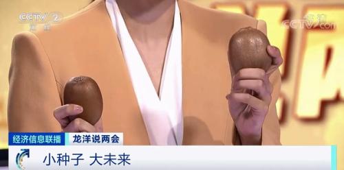 中國(guó)糧，用中國(guó)種！