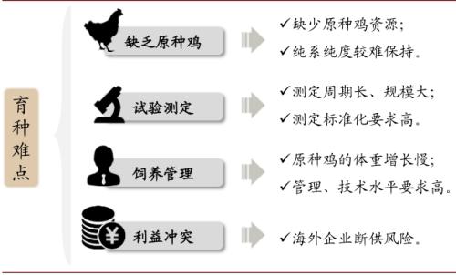 中金 | 糧食安全：糧安天下，創(chuàng)新護航長期發(fā)展